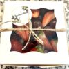 Mini Box Instagram Winner
